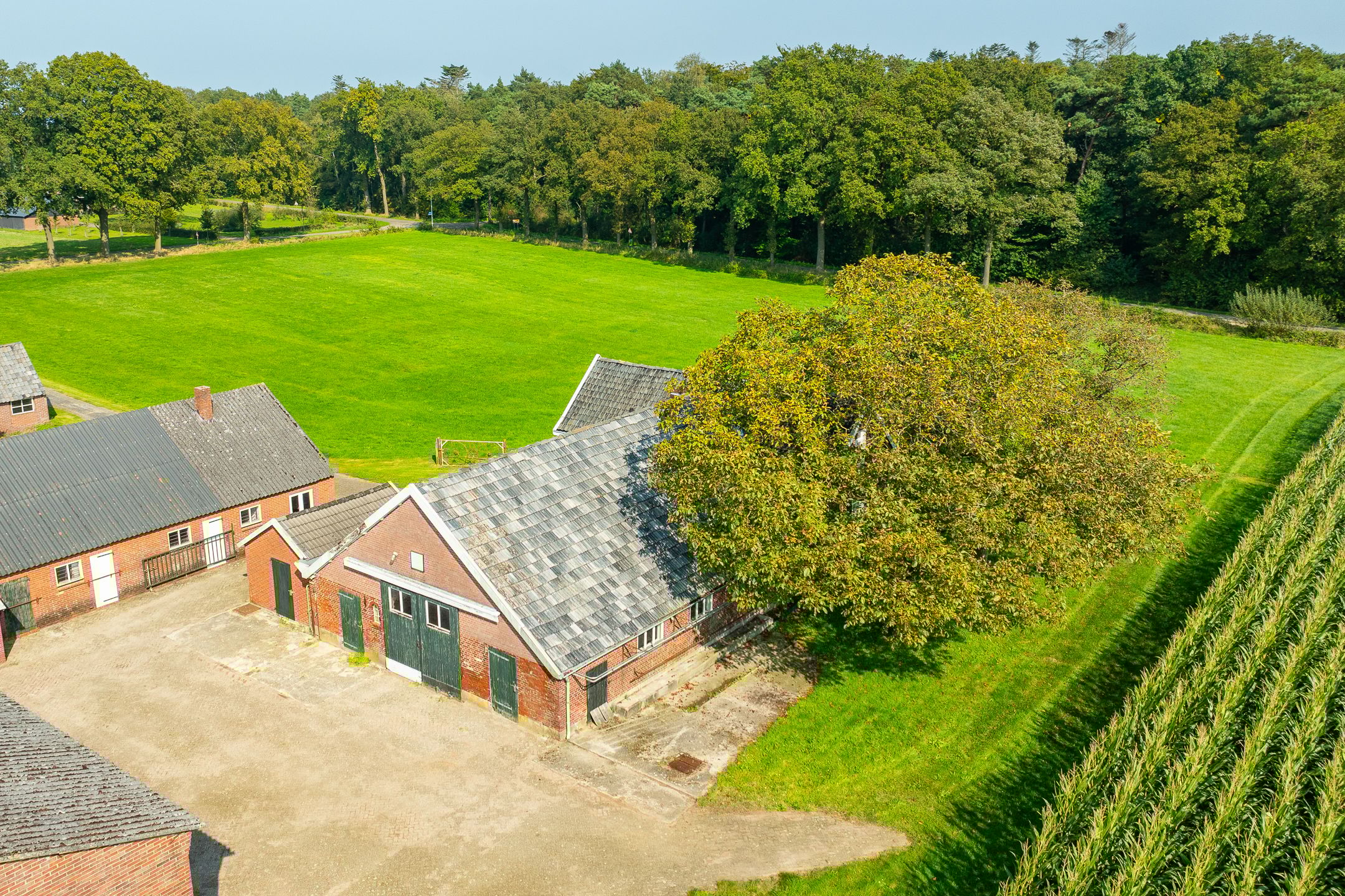 Foto 6 van Toldijk 4