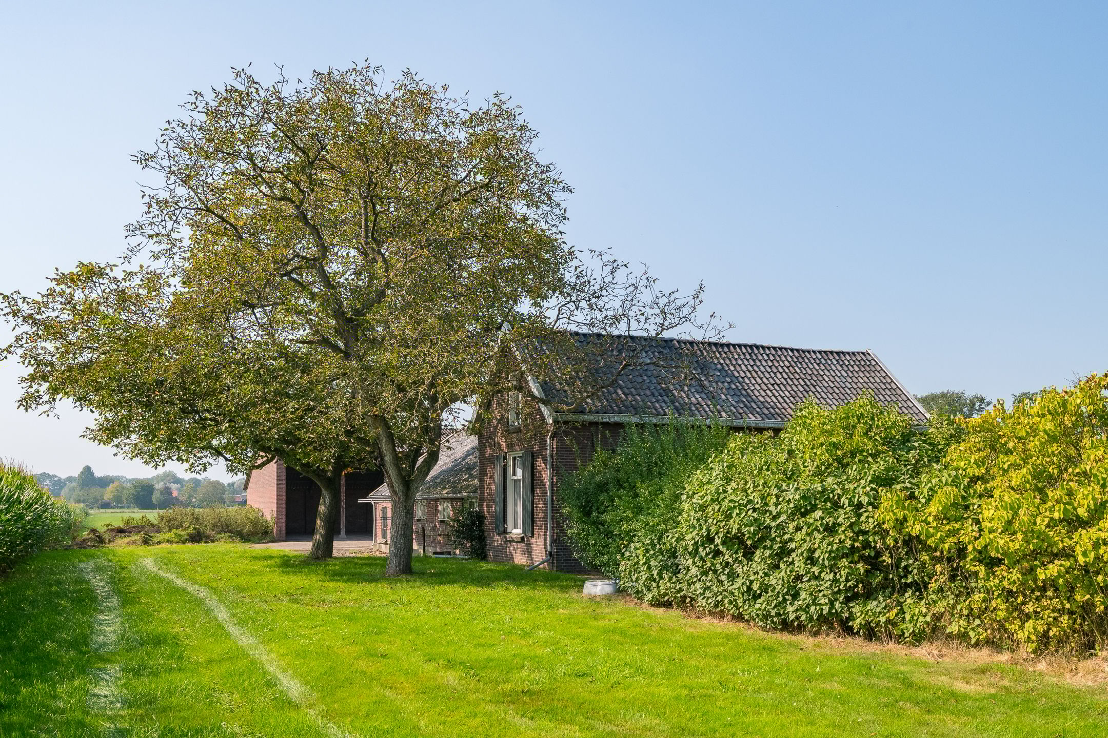 Foto 9 van Toldijk 4