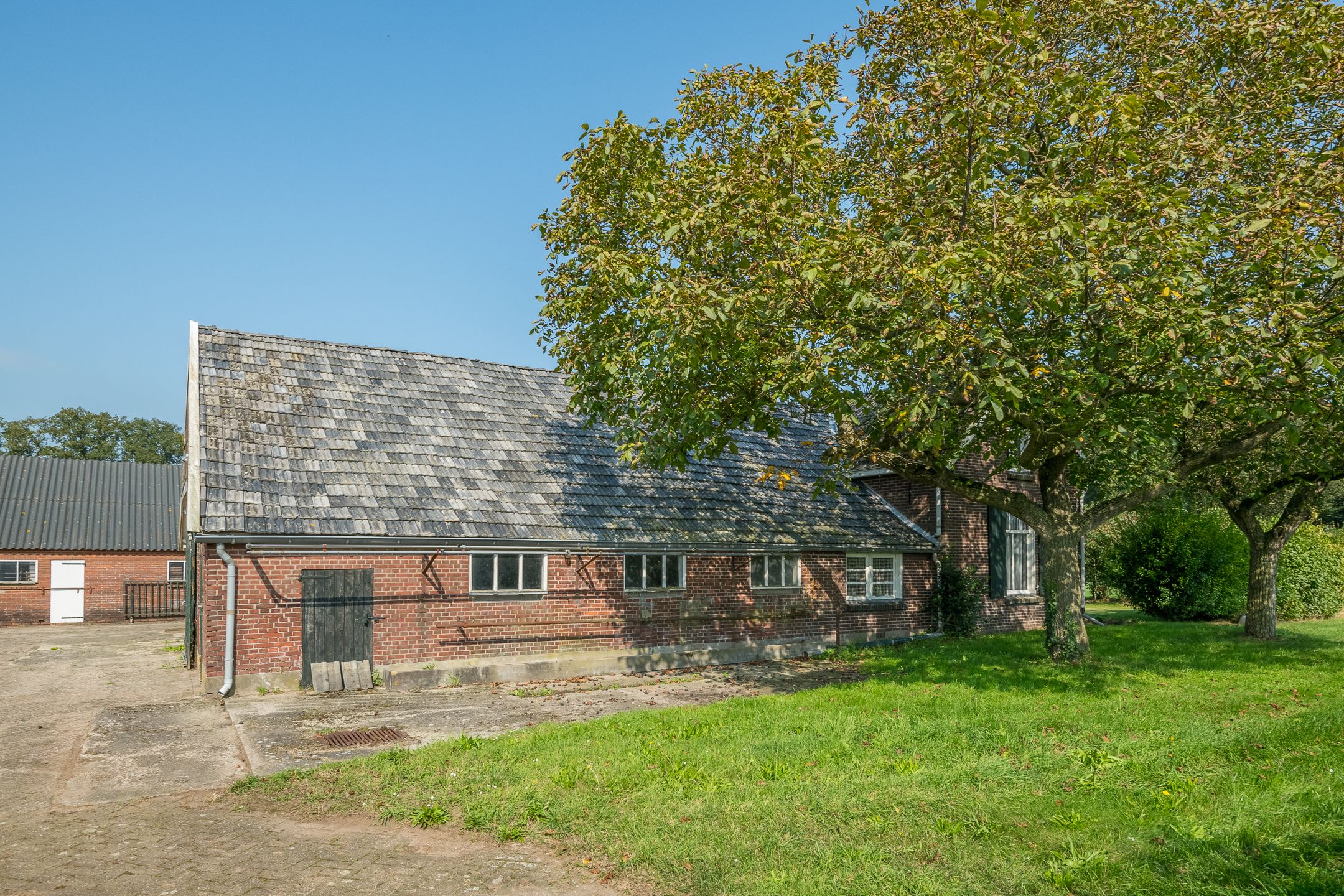 Foto 12 van Toldijk 4