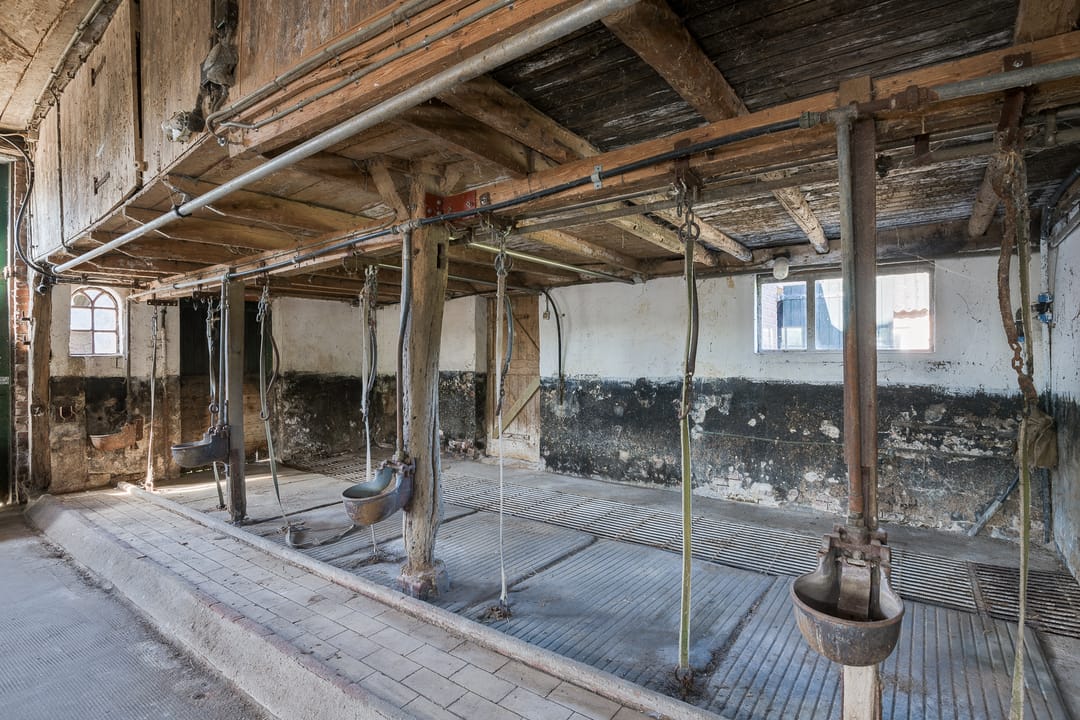 Foto 43 van Toldijk 4