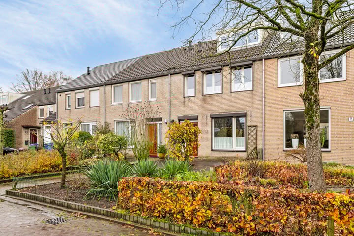 Foto 5 van De Duiker 4