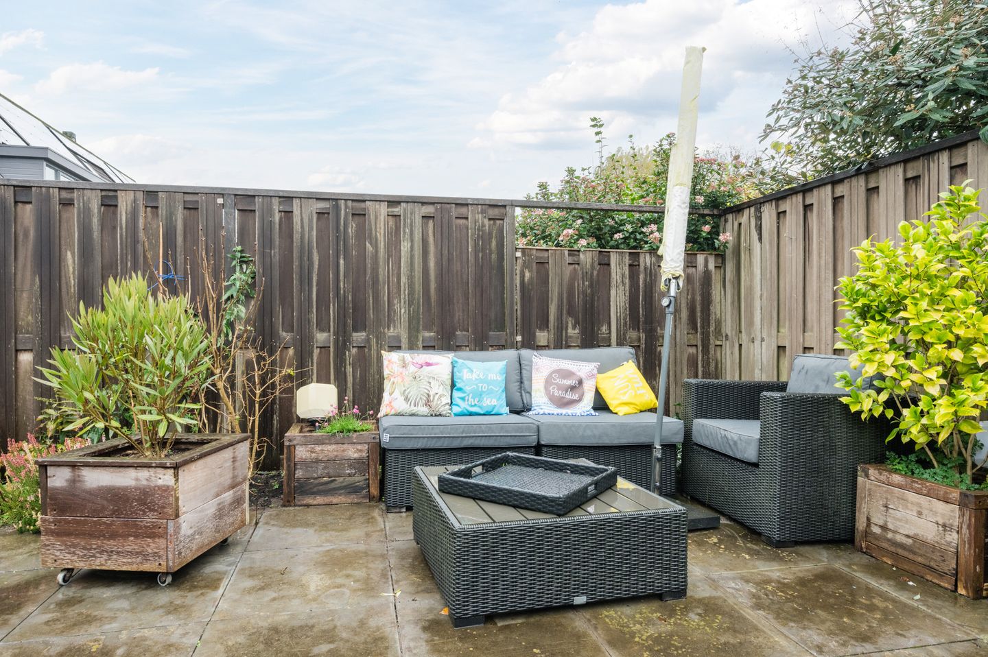 Photo 35 of Wipmolen 19