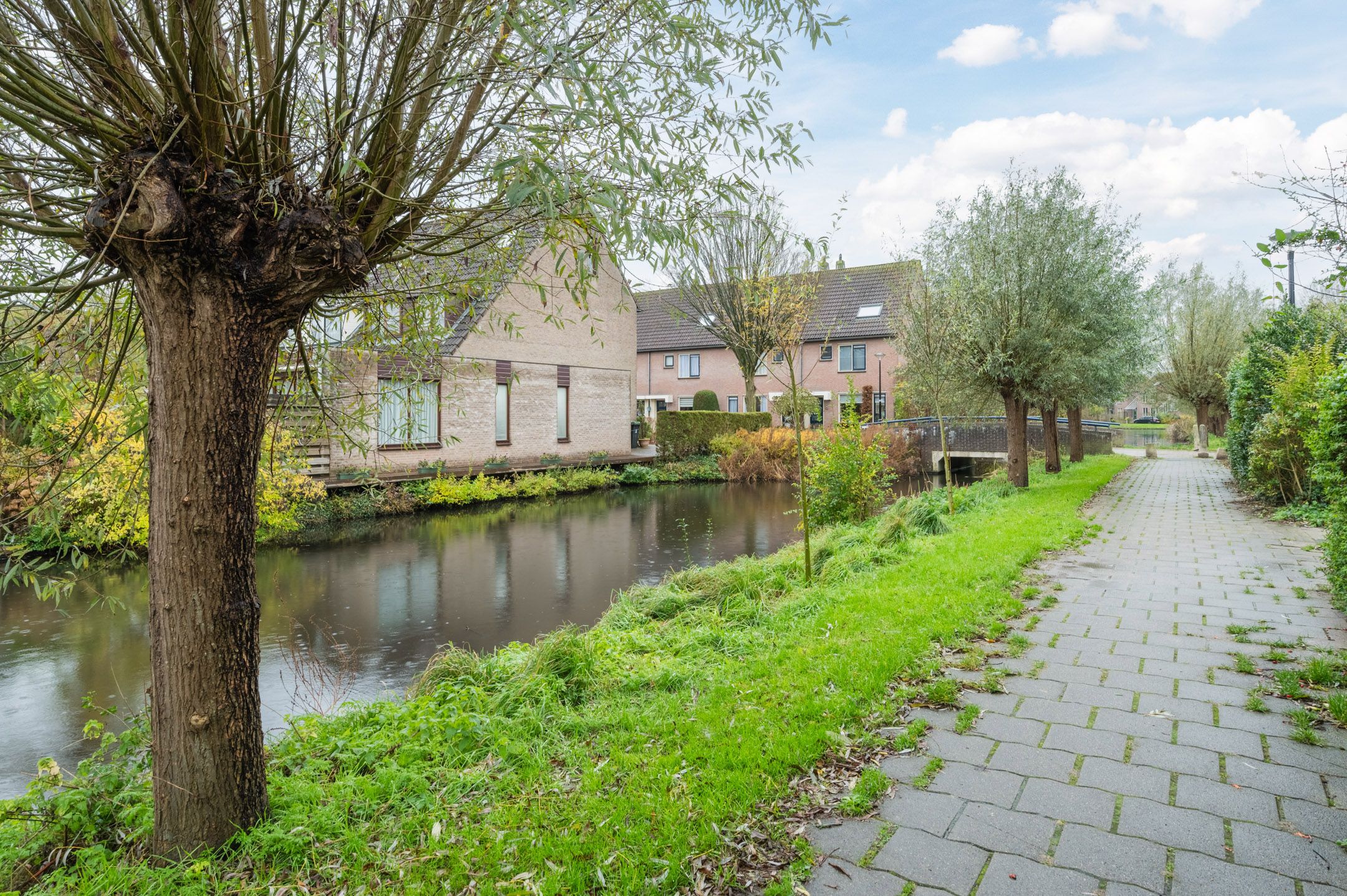 Photo 39 of Wipmolen 19