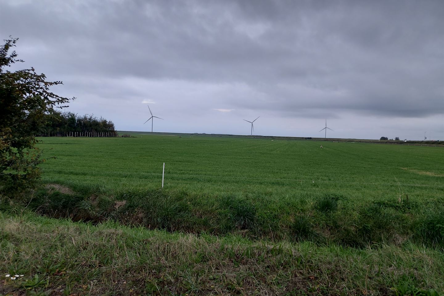 Bekijk foto 5 van aan de Straalweg