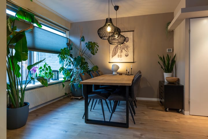 Foto 9 van de Rikking 88