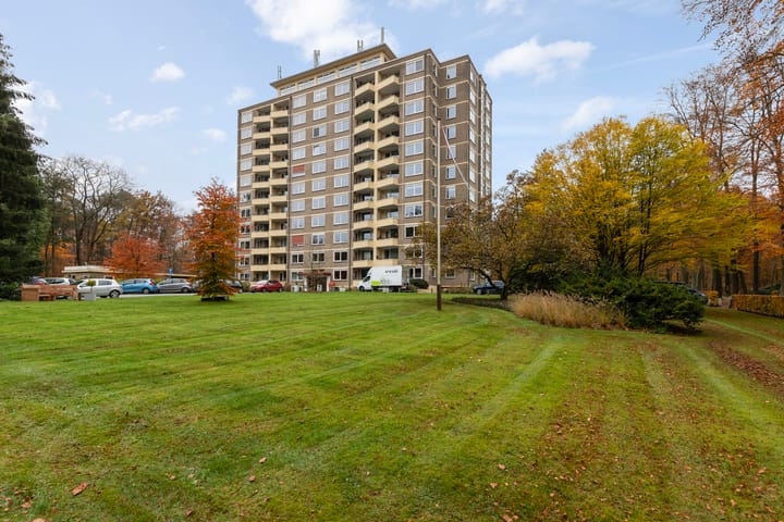 Foto 4 van Soerenseweg 125-51