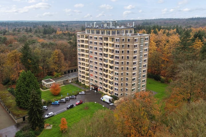 Foto 1 van Soerenseweg 125-51