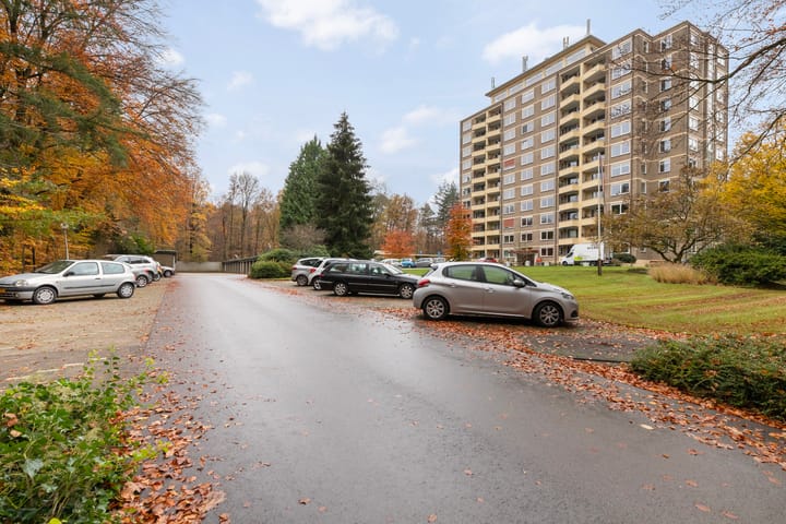 Foto 5 van Soerenseweg 125-51