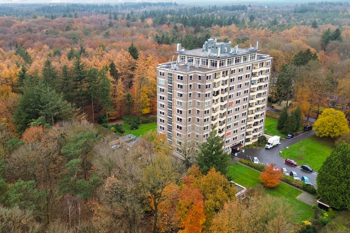 Foto 2 van Soerenseweg 125-51