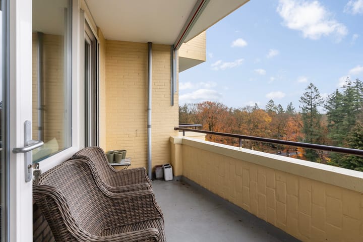 Foto 17 van Soerenseweg 125-51