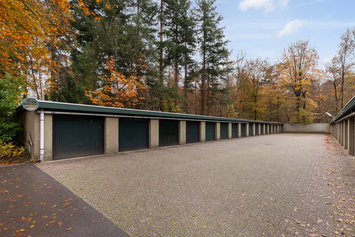 Foto 3 van Soerenseweg 125-51