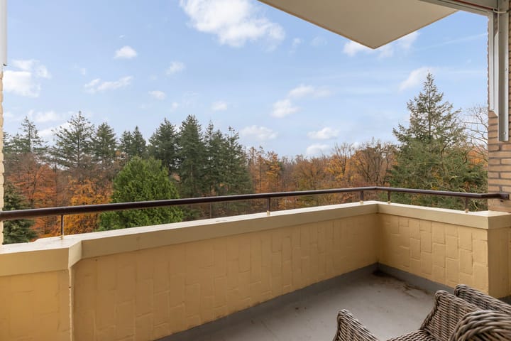 Foto 19 van Soerenseweg 125-51