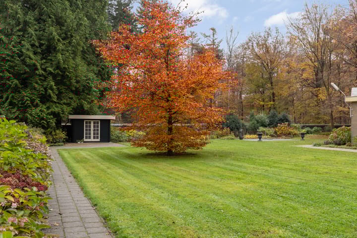 Foto 24 van Soerenseweg 125-51