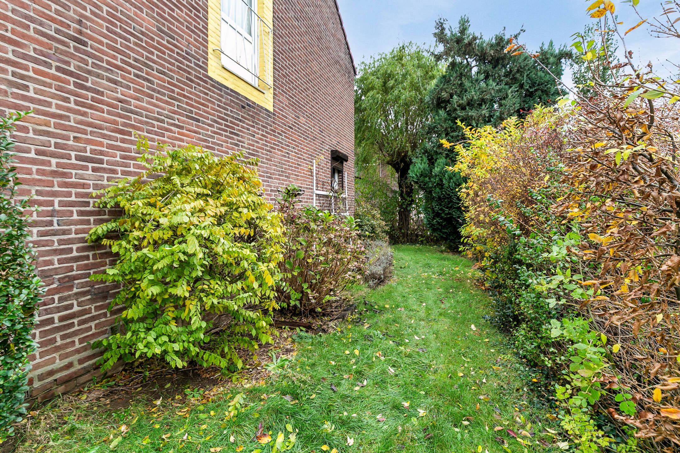 Photo 24 of Den Boschstraat 34