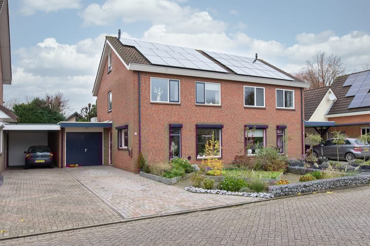 undefined main image