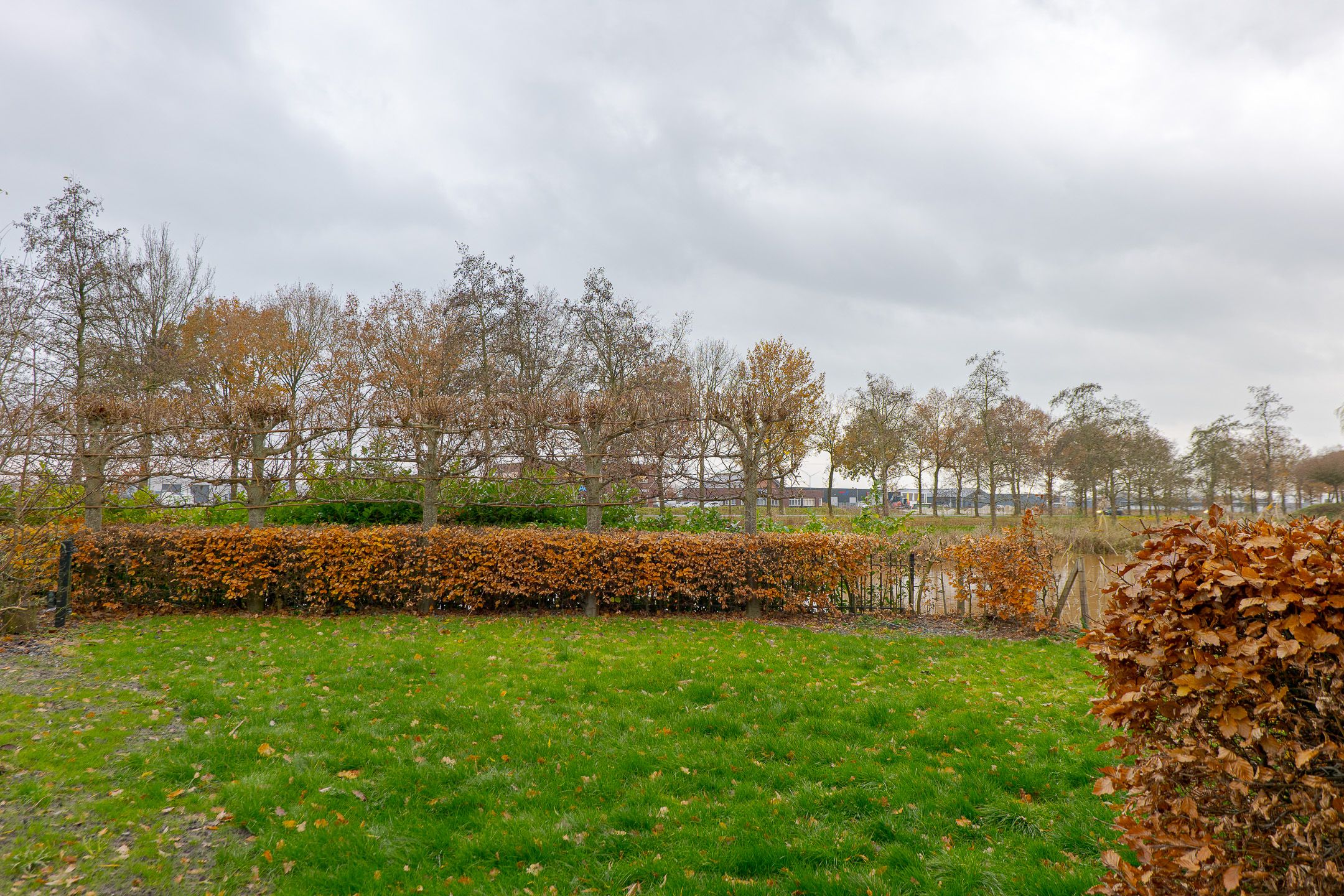 Photo 3 of Wielewaalhof 78