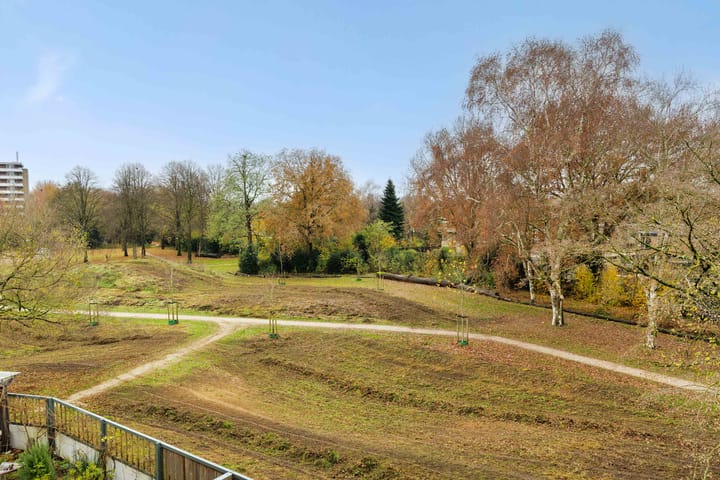 Foto 37 van Orkest 12