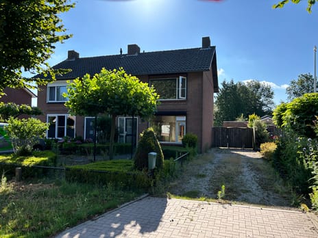 undefined main image