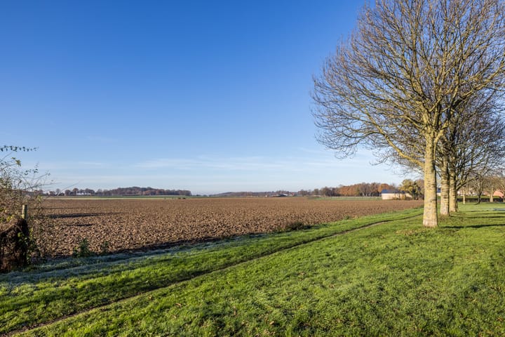 Foto 2 van In den Moel 37