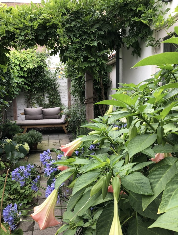 Foto 30 van Heidelaan 32