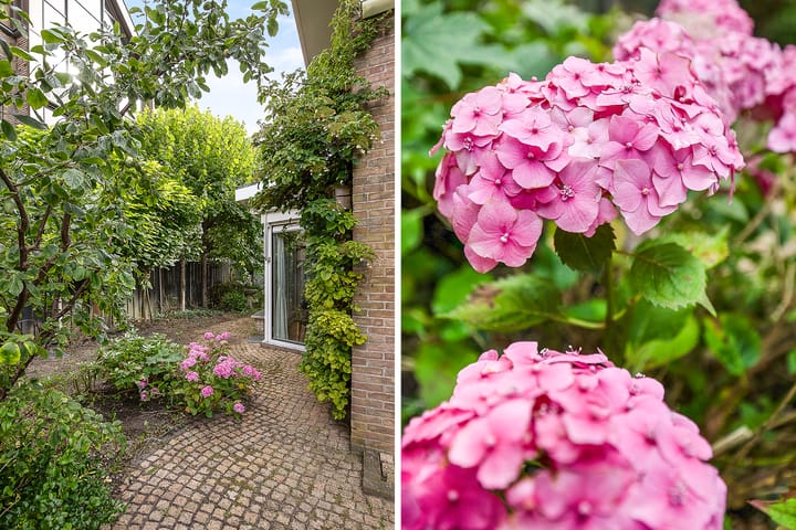 Foto 65 van Schoolstraat 23