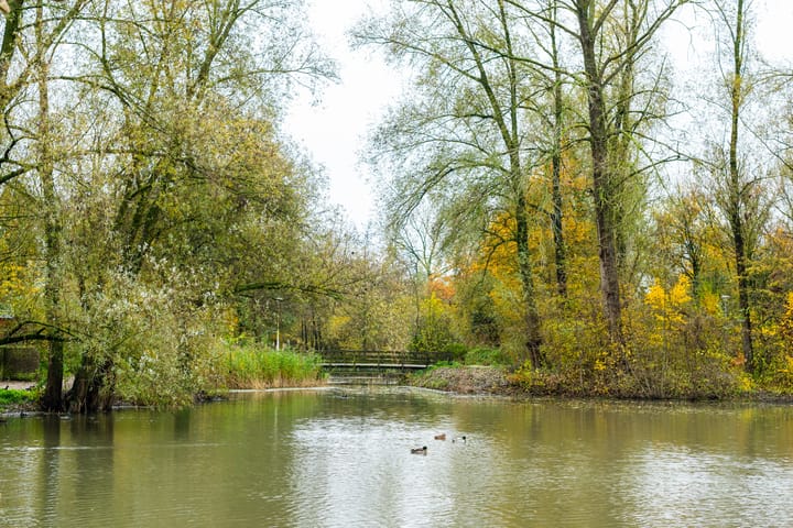 Foto 39 van Ampsen 68-A