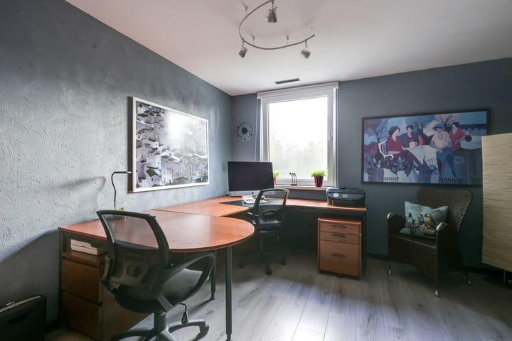 Foto 36 van Sierduif 35