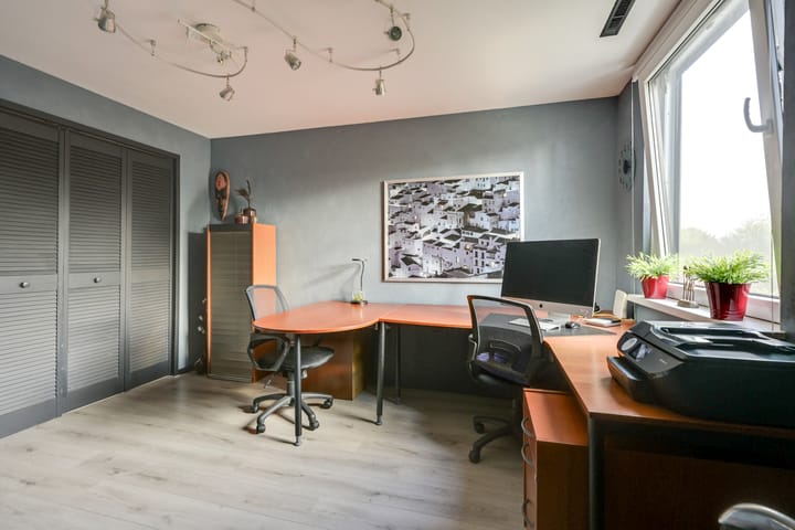 Foto 38 van Sierduif 35