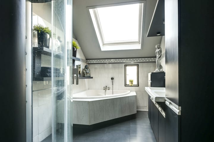 Foto 43 van Sierduif 35