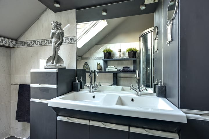 Foto 45 van Sierduif 35