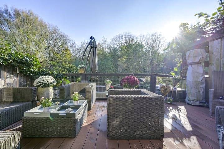 Foto 64 van Sierduif 35