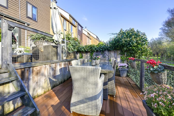 Foto 68 van Sierduif 35