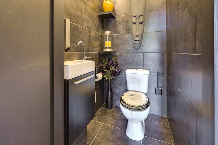 Foto 63 van Sierduif 35