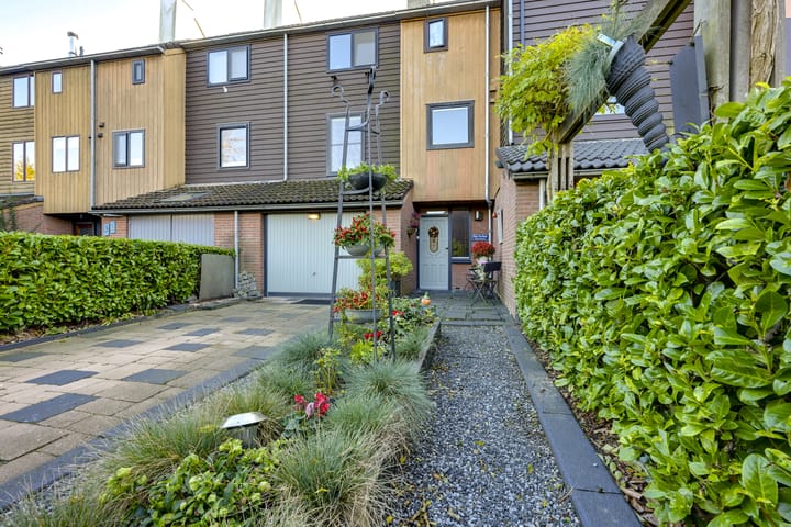 Foto 77 van Sierduif 35