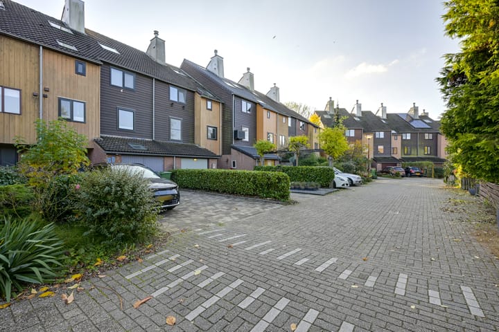 Foto 79 van Sierduif 35