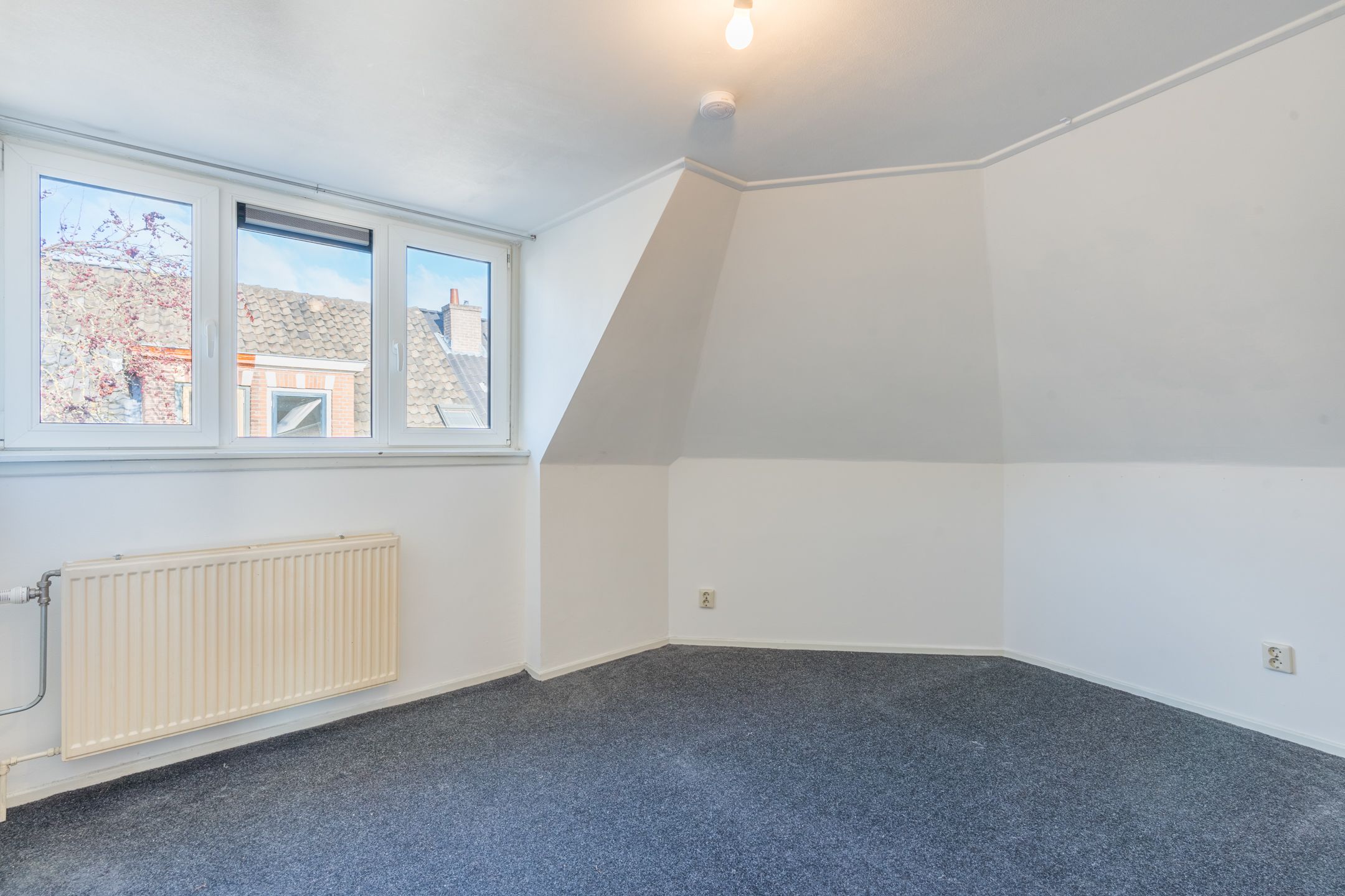 Foto 21 van Molenweg 50