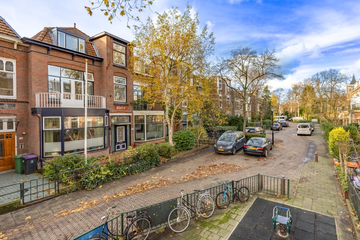 Foto 49 van Leeuwendaallaan 50