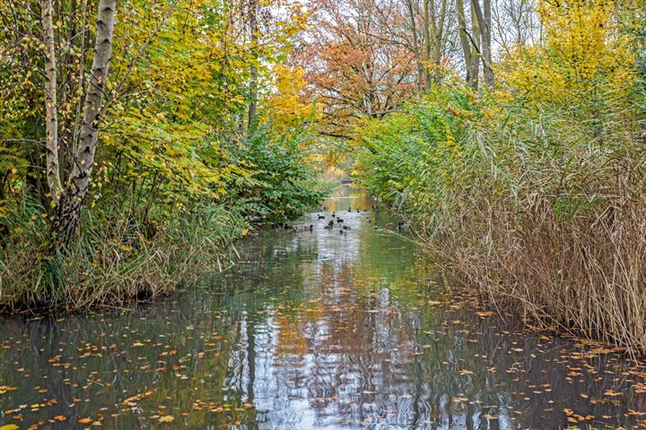 Bekijk foto 48 van Oudelandseweg 24