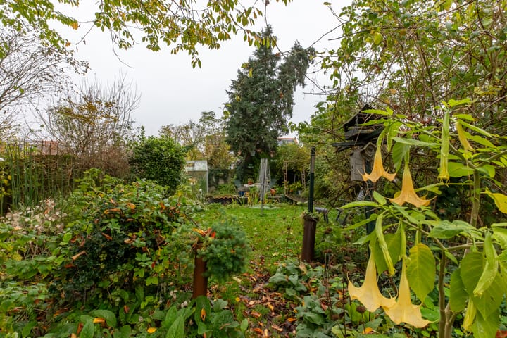 Foto 3 van Dorpsplein 26