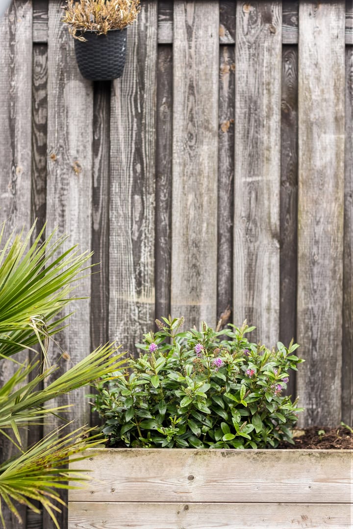 Foto 29 van Meindert Hobbemalaan 12