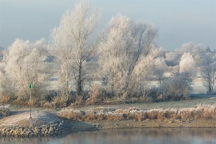 Bekijk foto 33 van Hoornwerk 24