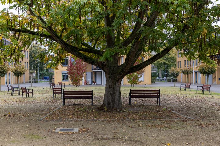 Bekijk foto 37 van Kangoeroestraat 23