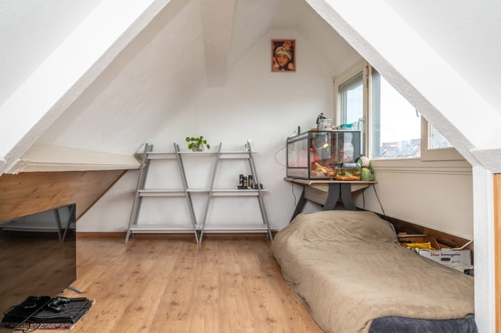 Foto 31 van Kleefkruid 46