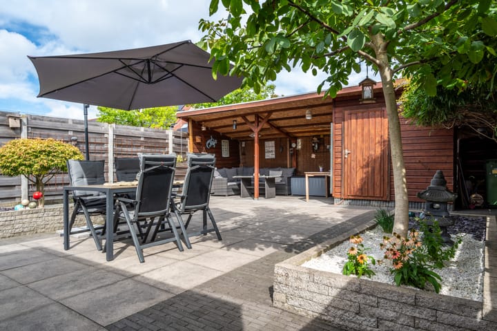 Foto 34 van Kleefkruid 46