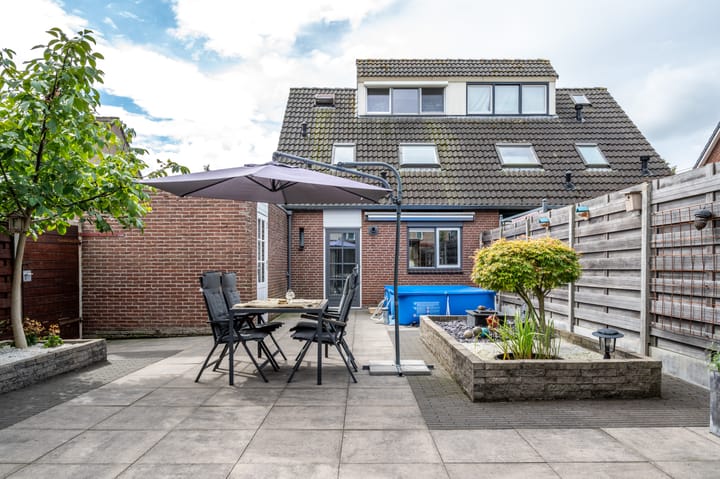 Foto 37 van Kleefkruid 46