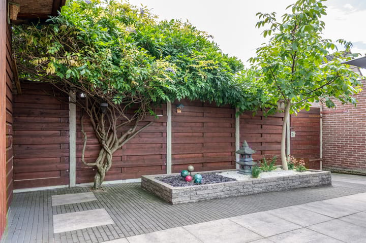 Foto 38 van Kleefkruid 46