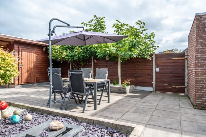 Foto 39 van Kleefkruid 46