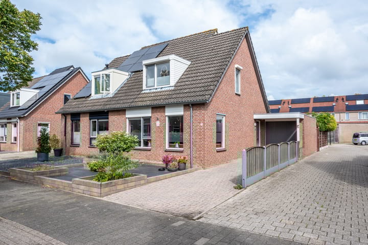 Foto 43 van Kleefkruid 46