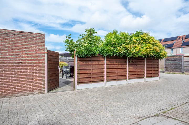 Foto 44 van Kleefkruid 46