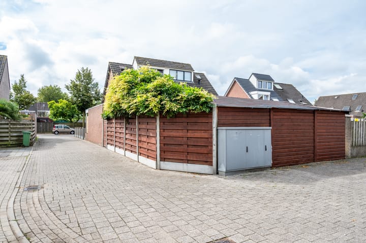 Foto 45 van Kleefkruid 46